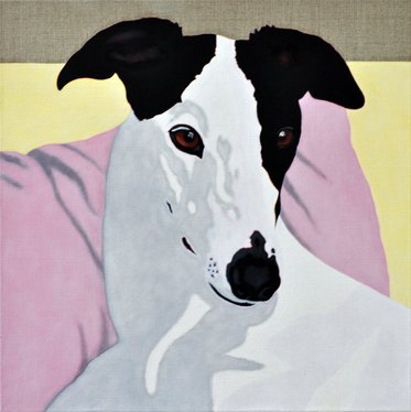 Kate, portrait of a Greyhound - 7